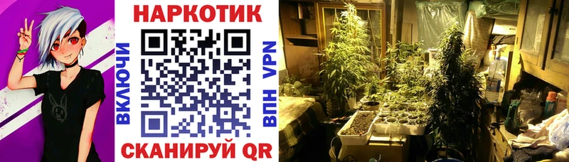 Где продают наркотики Полярный Марихуана АМФ СК Меф Cocaine