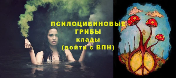 гидра Новокубанск