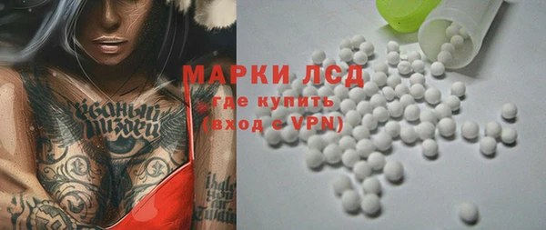 гашик Новодвинск