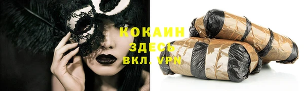 гашик Новодвинск