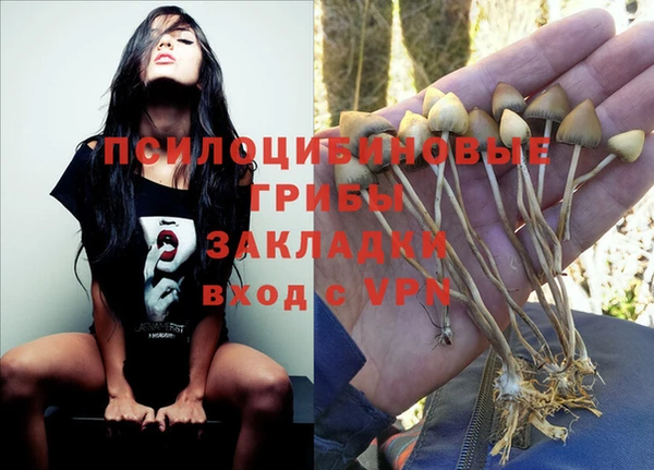 бошки Новозыбков