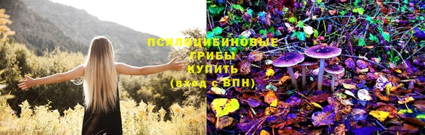 гидра Новокубанск