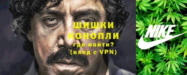 гашик Новодвинск