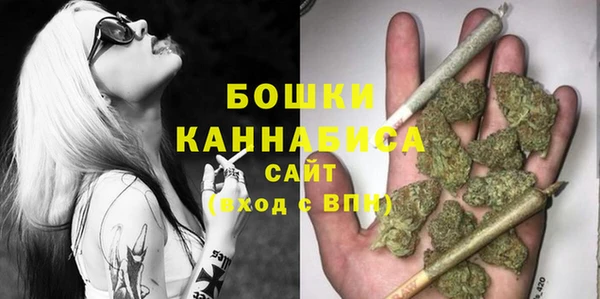 гашик Новодвинск