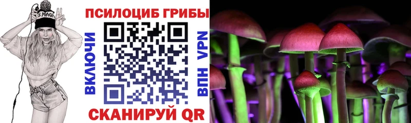 как найти   Полярный  ОМГ ОМГ ССЫЛКА  Псилоцибиновые грибы Magic Shrooms 
