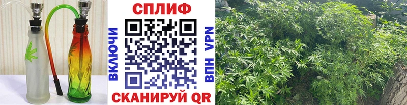 где можно купить наркотик  Полярный  Бошки марихуана LSD WEED 